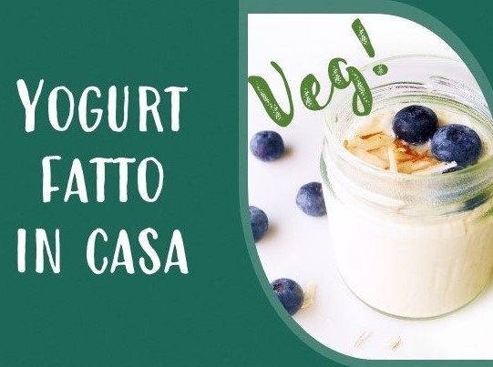 Yogurt vegetale fatto in casa – La Via Macrobiotica